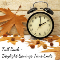 Daylight Savings Tim