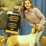 McLennan County Jr Livestock Show goats