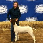 McLennan County Jr Livestock Show