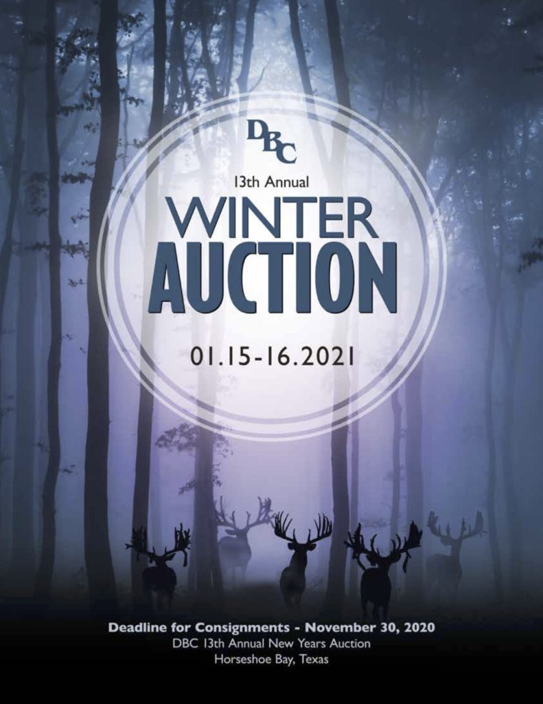 dbc winter auction