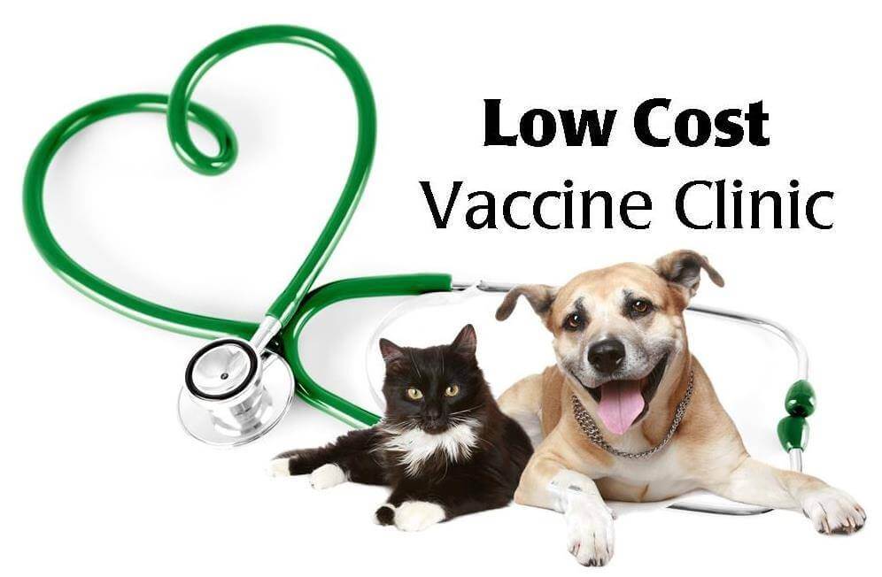 low cost vaccination clinic