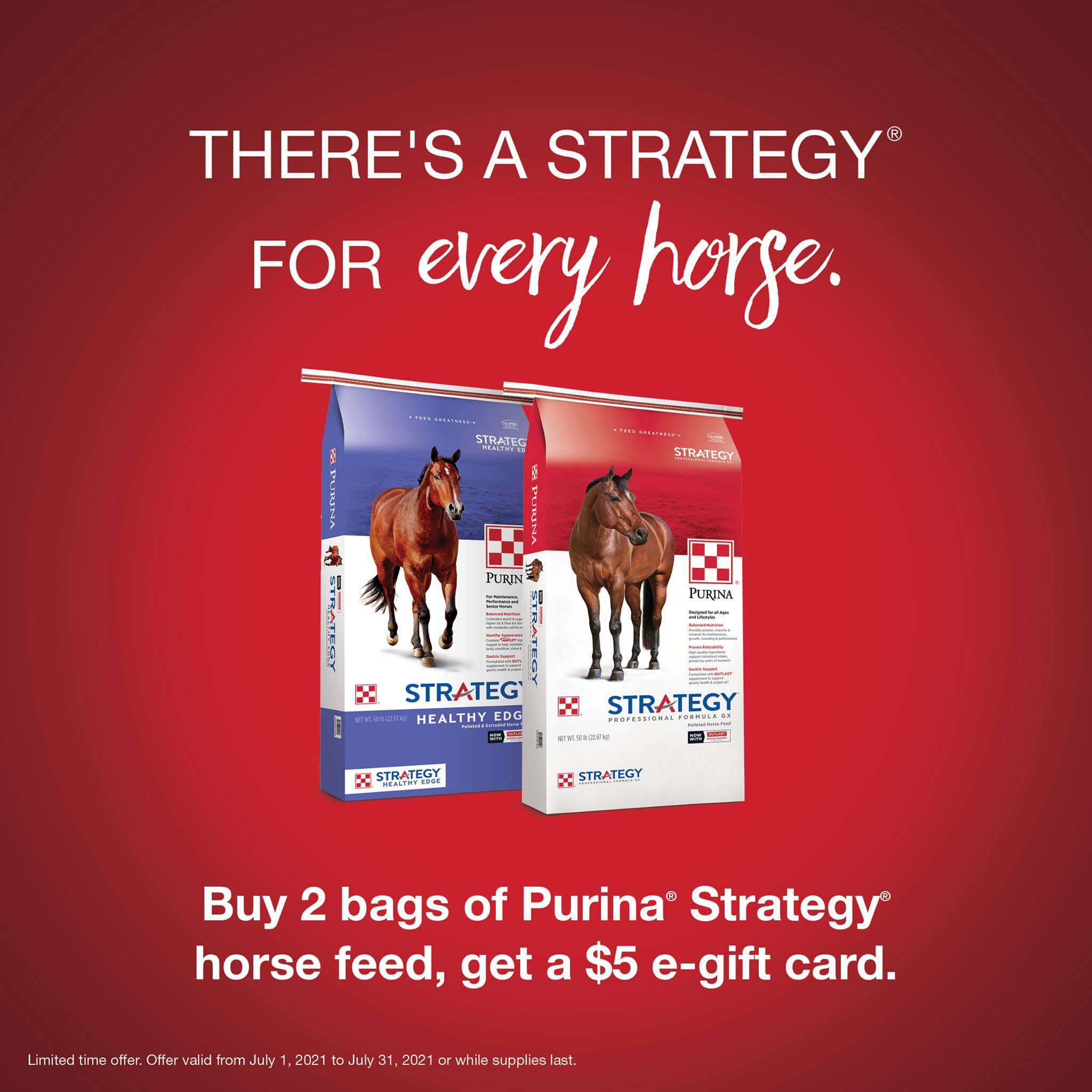 purina horse feed strategy healthy edge feed greatness barrel racing