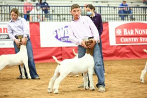 hot livestock show fair rodeo extraco event center waco heart of texas