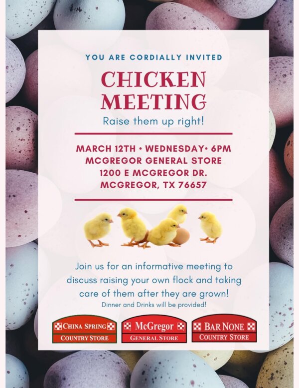 chicken meeting workshop purina animal nutrition poultry farm fresh eggs flock chicks chick