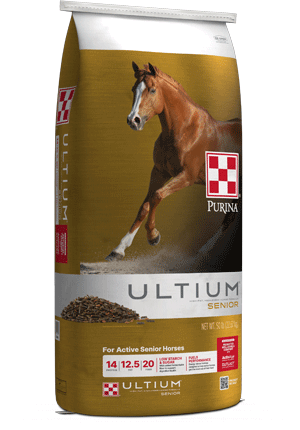 purina ultium senior equine horse feed aging performance outlast